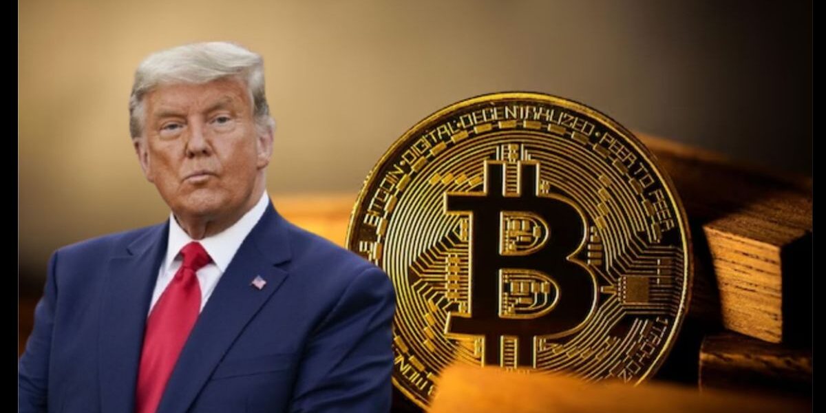 Donald Trump reports hundreds of millions of dollars in income: from crypto, golf, and licensing fees