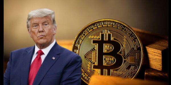 Donald Trump reports hundreds of millions of dollars in income: from crypto, golf, and licensing fees