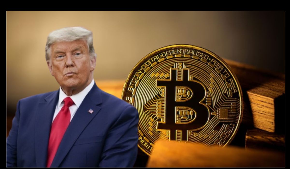 Donald Trump reports hundreds of millions of dollars in income: from crypto, golf, and licensing fees